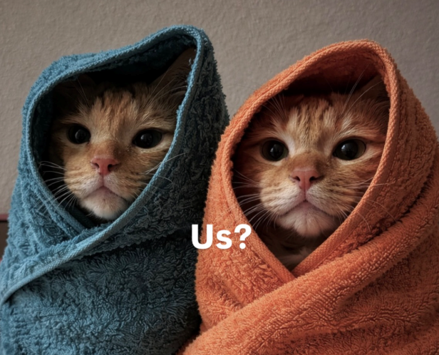 Us?