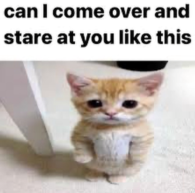 can I come over and stare at you like this
