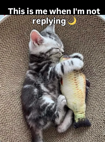 This is me when I'm not replying