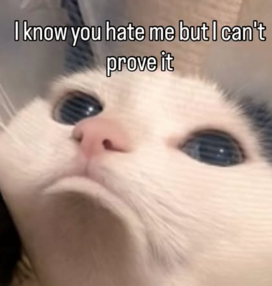 I know you hate me but I can't prove it