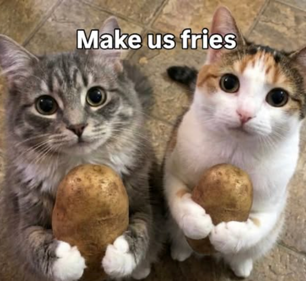 Make us fries