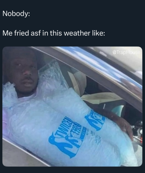 Nobody: Me fried asf in this weather like: @TrapHouse TWICE