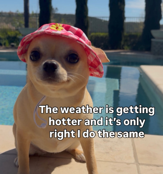The weather is getting hotter and it's only right I do the same
