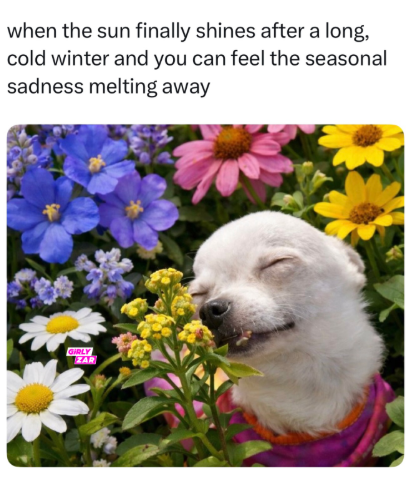 when the sun finally shines after a long, cold winter and you can feel the seasonal sadness melting away GIRLY ZAR