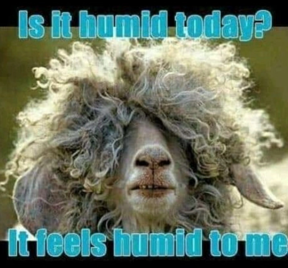 Is it humid today? It feels humid to me