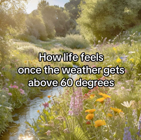 How life feels once the weather gets above 60 degrees