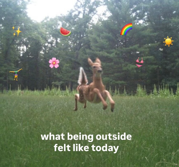 what being outside felt like today