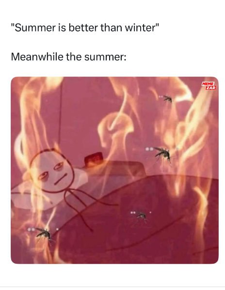 "Summer is better than winter" Meanwhile the summer: MEME ZAR