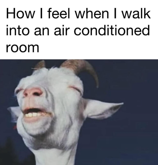 How I feel when I walk into an air conditioned room