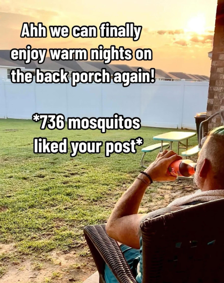 Ahh we can finally enjoy warm nights on the back porch again! *736 mosquitos liked your post