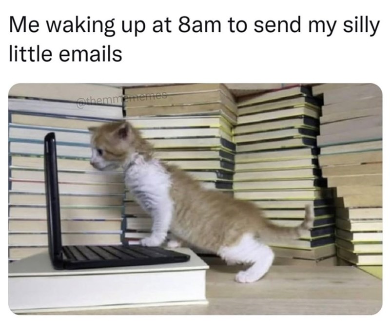 Me waking up at 8am to send my silly little emails themmememes