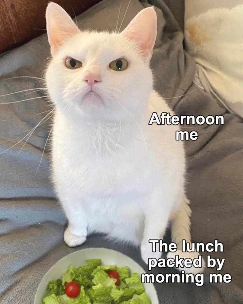 Afternoon me The lunch packed by morning me