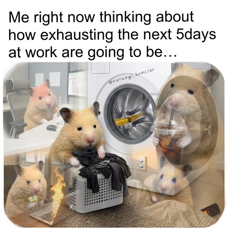 Me right now thinking about how exhausting the next 5days at work are going to be... @nurungi hamster