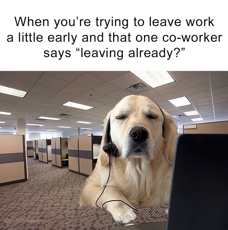 When you're trying to leave work a little early and that one co-worker says "leaving already?" @passthergafoni