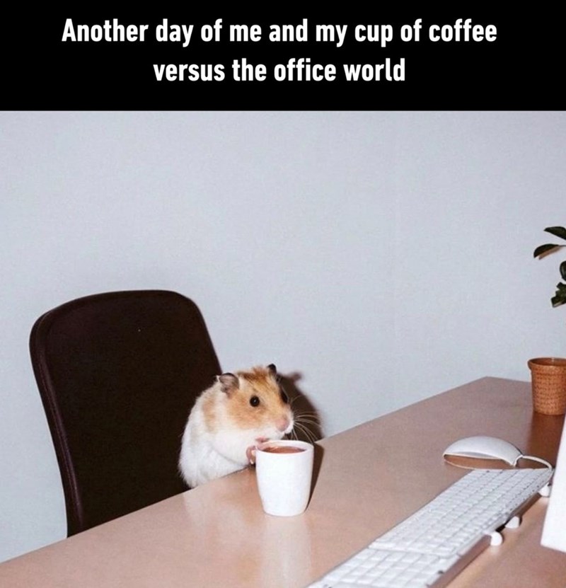 Another day of me and my cup of coffee versus the office world