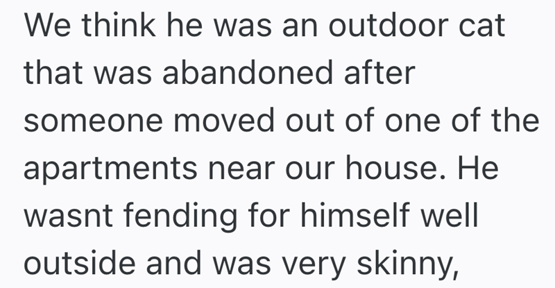 We think he was an outdoor cat that was abandoned after someone moved out of one of the apartments near our house. He wasnt fending for himself well outside and was very skinny,