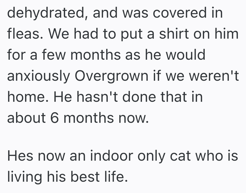 dehydrated, and was covered in fleas. We had to put a shirt on him for a few months as he would anxiously Overgrown if we weren't home. He hasn't done that in about 6 months now. Hes now an indoor only cat who is living his best life.