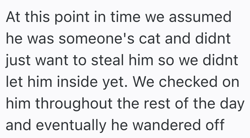 At this point in time we assumed he was someone's cat and didnt just want to steal him so we didnt let him inside yet. We checked on him throughout the rest of the day and eventually he wandered off