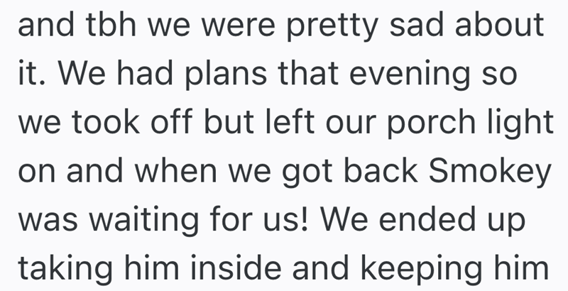 and tbh we were pretty sad about it. We had plans that evening so we took off but left our porch light on and when we got back Smokey was waiting for us! We ended up taking him inside and keeping him