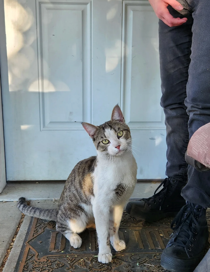Cheezburger Image 10638505728