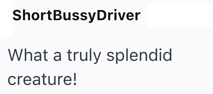 ShortBussyDriver What a truly splendid creature!