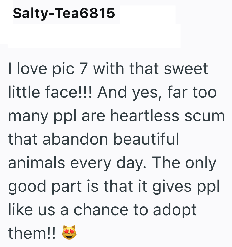 Salty-Tea6815 I love pic 7 with that sweet little face!!! And yes, far too many ppl are heartless scum that abandon beautiful animals every day. The only good part is that it gives ppl like us a chance to adopt them!!