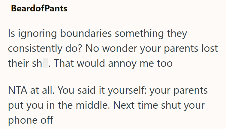 BeardofPants Is ignoring boundaries something they consistently do? No wonder your parents lost their sh. That would annoy me too NTA at all. You said it yourself: your parents put you in the middle. Next time shut your phone off
