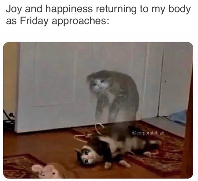 Joy and happiness returning to my body as Friday approaches: @corporatebish