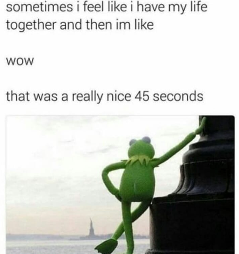 sometimes i feel like i have my life together and then im like WOW that was a really nice 45 seconds