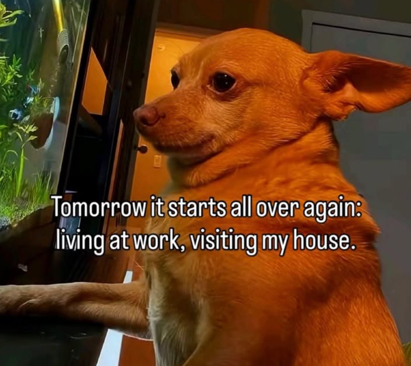 Tomorrow it starts all over again: living at work, visiting my house.