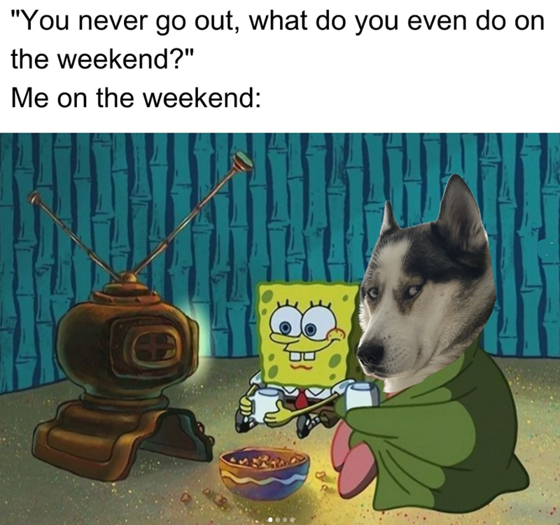 "You never go out, what do you even do on the weekend?" Me on the weekend: