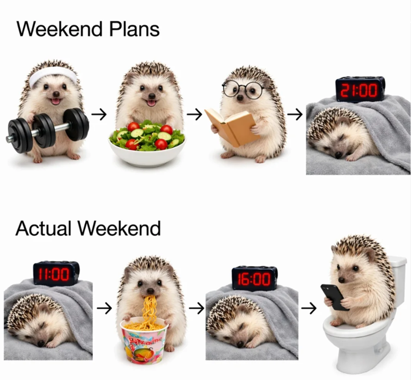 Weekend Plans ↑ 21:00 ↑ >> -> Actual Weekend 11:00 ↑ →> 16:00 ↑