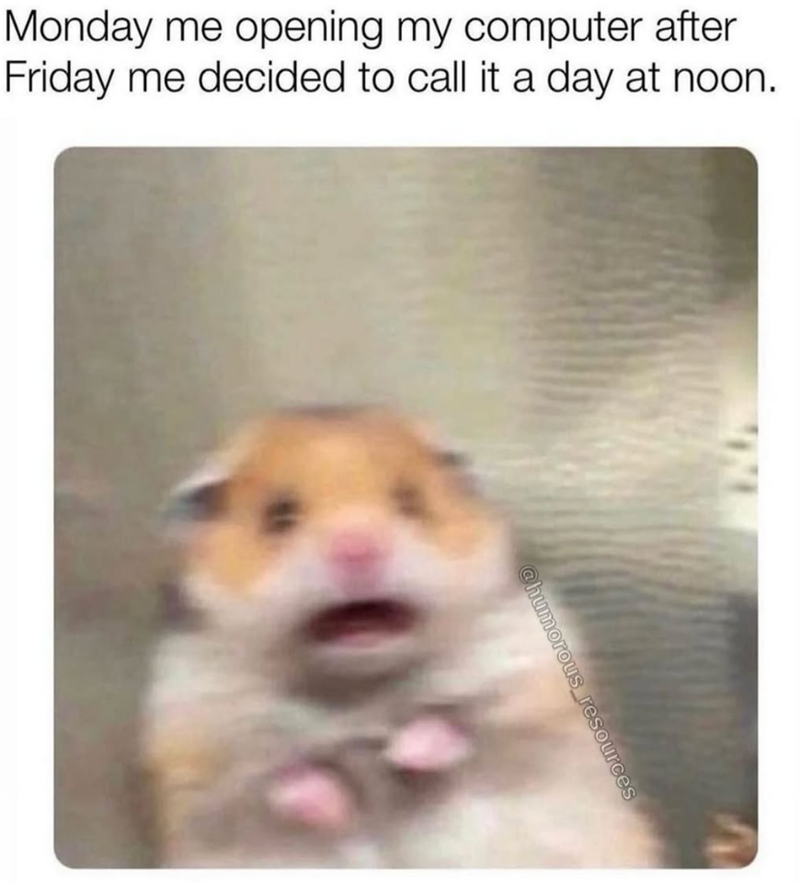 Monday me opening my computer after Friday me decided to call it a day at noon. @humorous resources