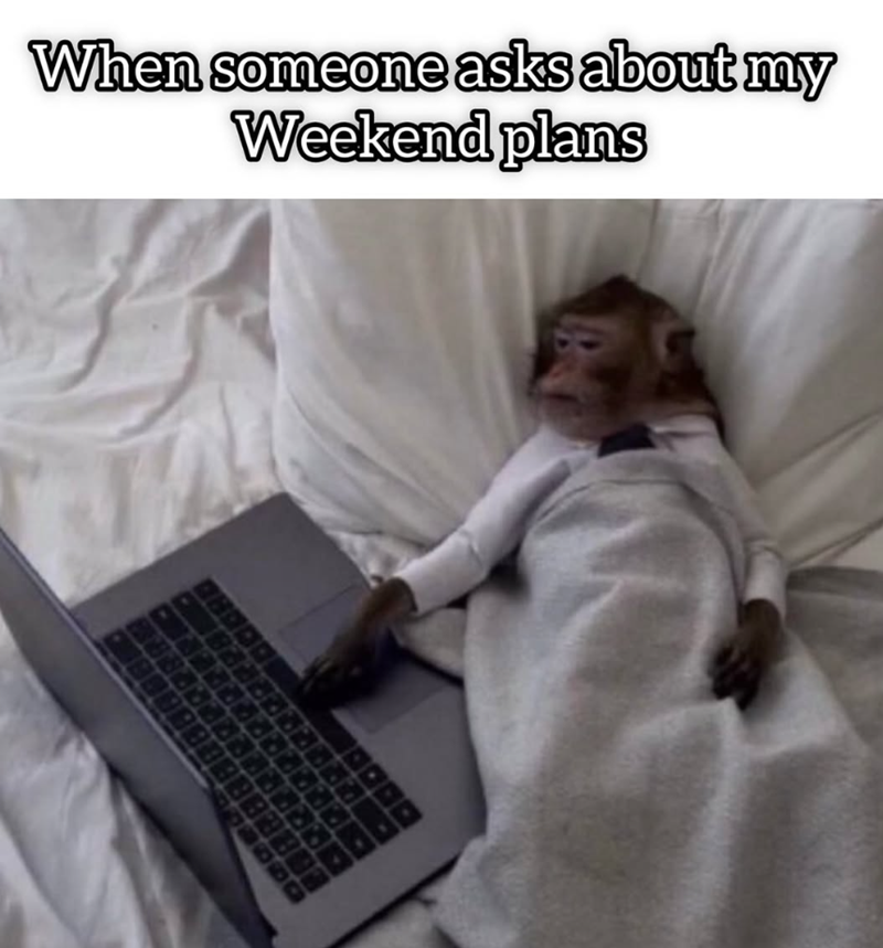 When someone asks about my Weekend plans 18