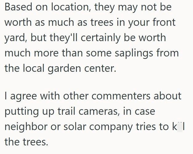 Based on location, they may not be worth as much as trees in your front yard, but they'll certainly be worth much more than some saplings from the local garden center. I agree with other commenters about putting up trail cameras, in case neighbor or solar company tries to k¨l the trees.