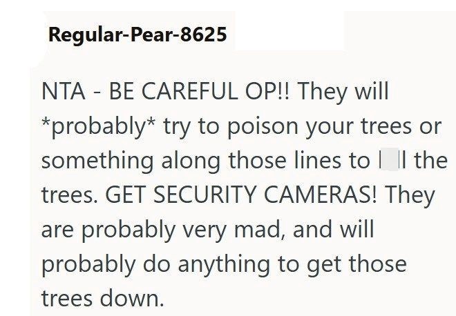 Regular-Pear-8625 NTA - BE CAREFUL OP!! They will *probably try to poison your trees or something along those lines to||| the trees. GET SECURITY CAMERAS! They are probably very mad, and will probably do anything to get those trees down.