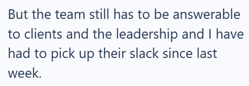 But the team still has to be answerable to clients and the leadership and I have had to pick up their slack since last week.