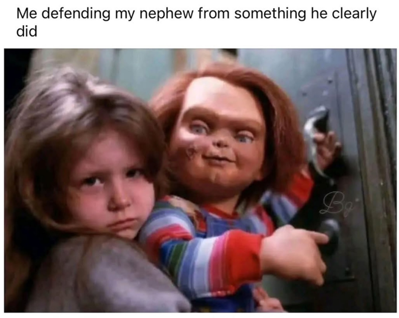 Me defending my nephew from something he clearly did Bo