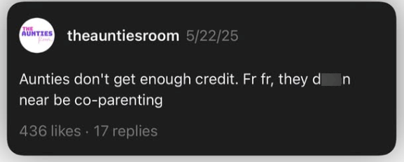 AUNTIES theauntiesroom 5/22/25 Aunties don't get enough credit. Fr fr, they don near be co-parenting 436 likes 17 replies