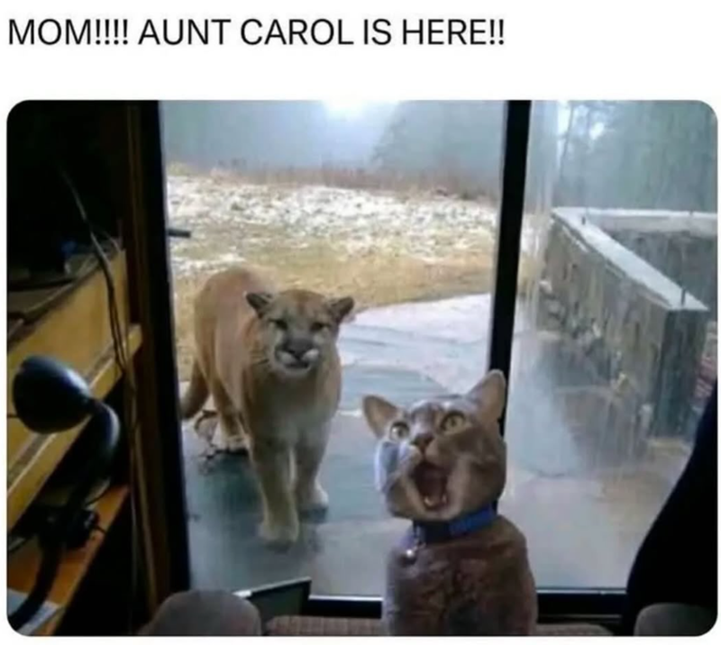 MOM!!!! AUNT CAROL IS HERE!!