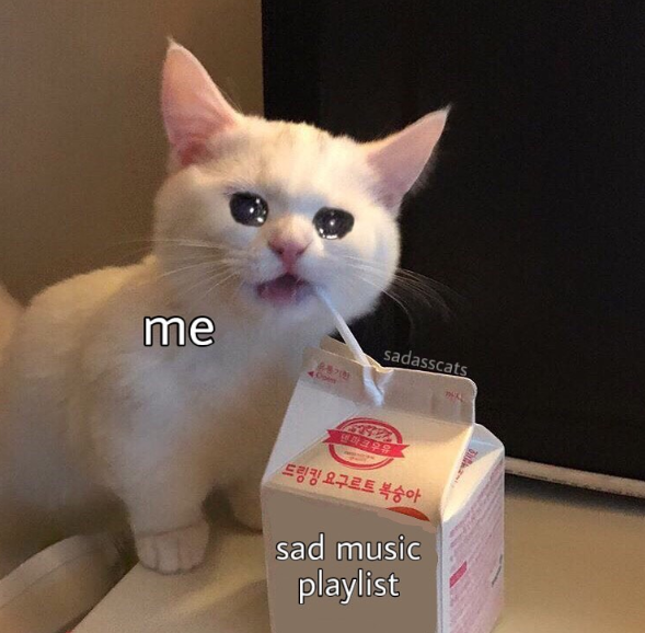 me sadasscats 유통기한 Ope 54427 덴마크우유 드링킹 요구르트 복숭아 sad music playlist