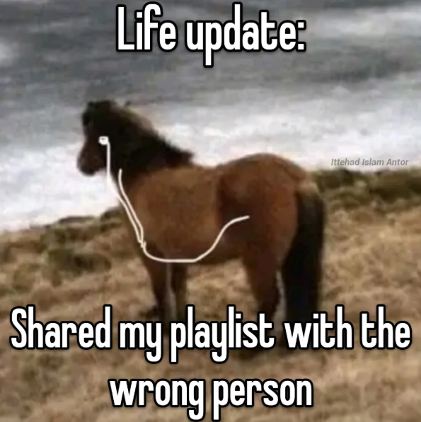Life update: Ittehad Islam Antor Shared my playlist with the wrong person