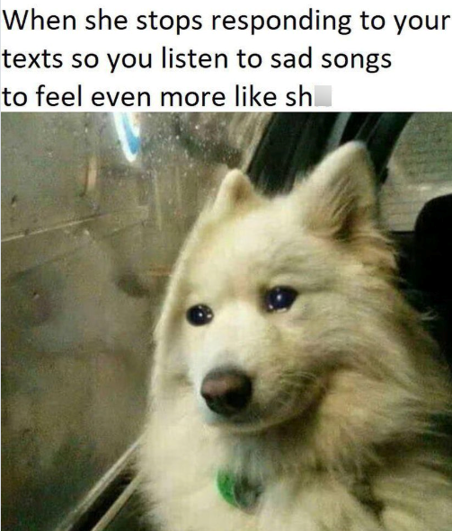 When she stops responding to your texts so you listen to sad songs to feel even more like sh