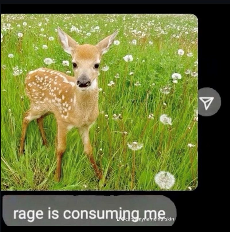 rage is consuming mesin