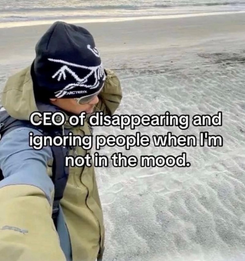CEO of disappearing and ignoring people when I'm not in the mood.