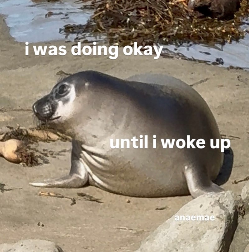 i was doing okay until i woke up anaemae