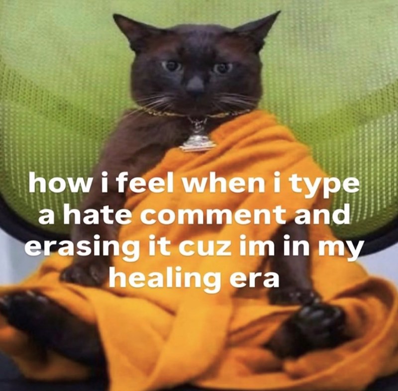 how i feel when i type a hate comment and erasing it cuz im in my healing era