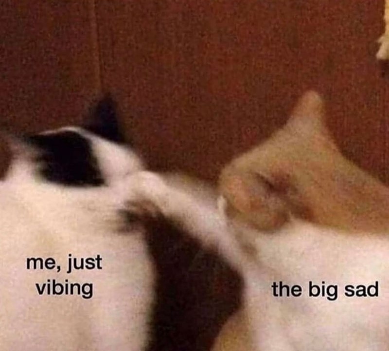 me, just vibing the big sad