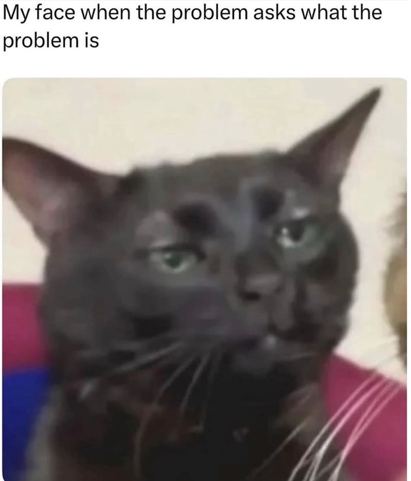 My face when the problem asks what the problem is