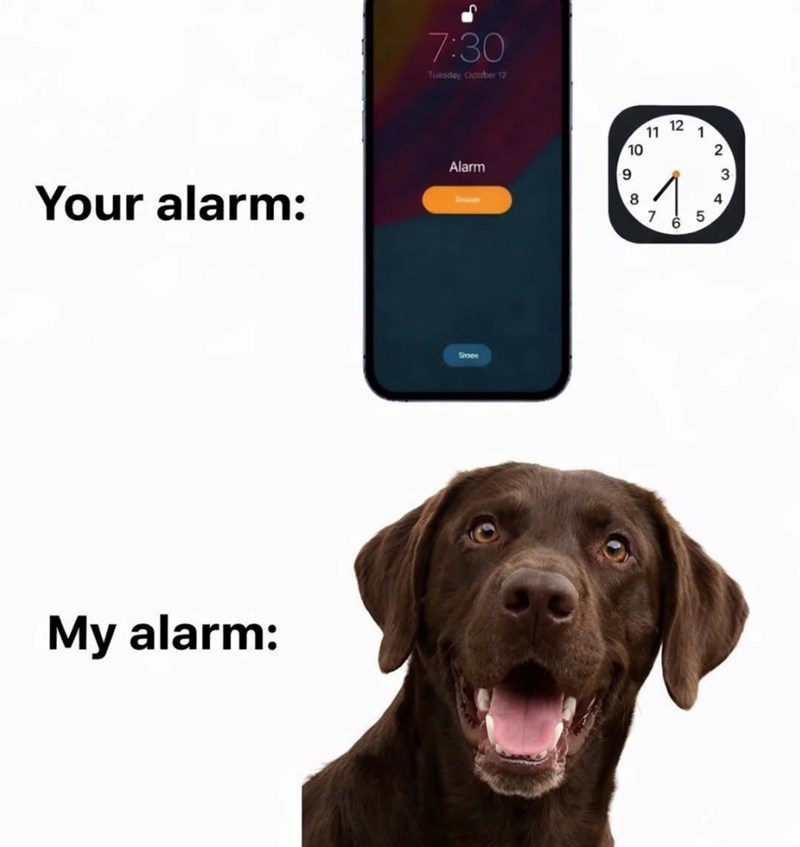 7:30 Tuesday, October 12 Your alarm: Alarm Size My alarm: Smee 12 11 1 10 9 23 8 4 7 5 6
